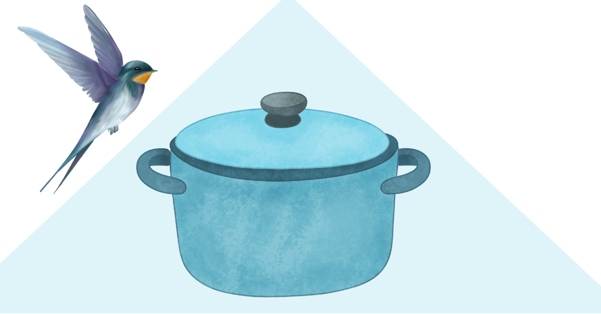 Is Blue Diamond Cookware Safe For Birds
